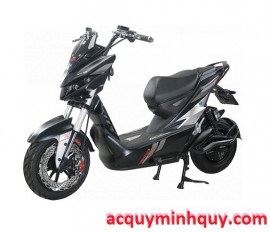 Ắc quy dành cho xe điện Jeek One