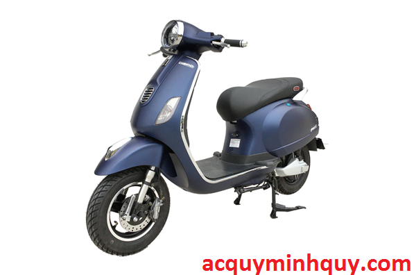 Ắc quy dành cho xe Dibao Pansy