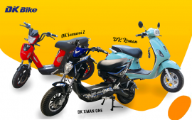 Ắc quy dành cho xe điện DK Bike