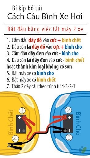 Bí kíp bỏ túi cách câu bình xe ô tô